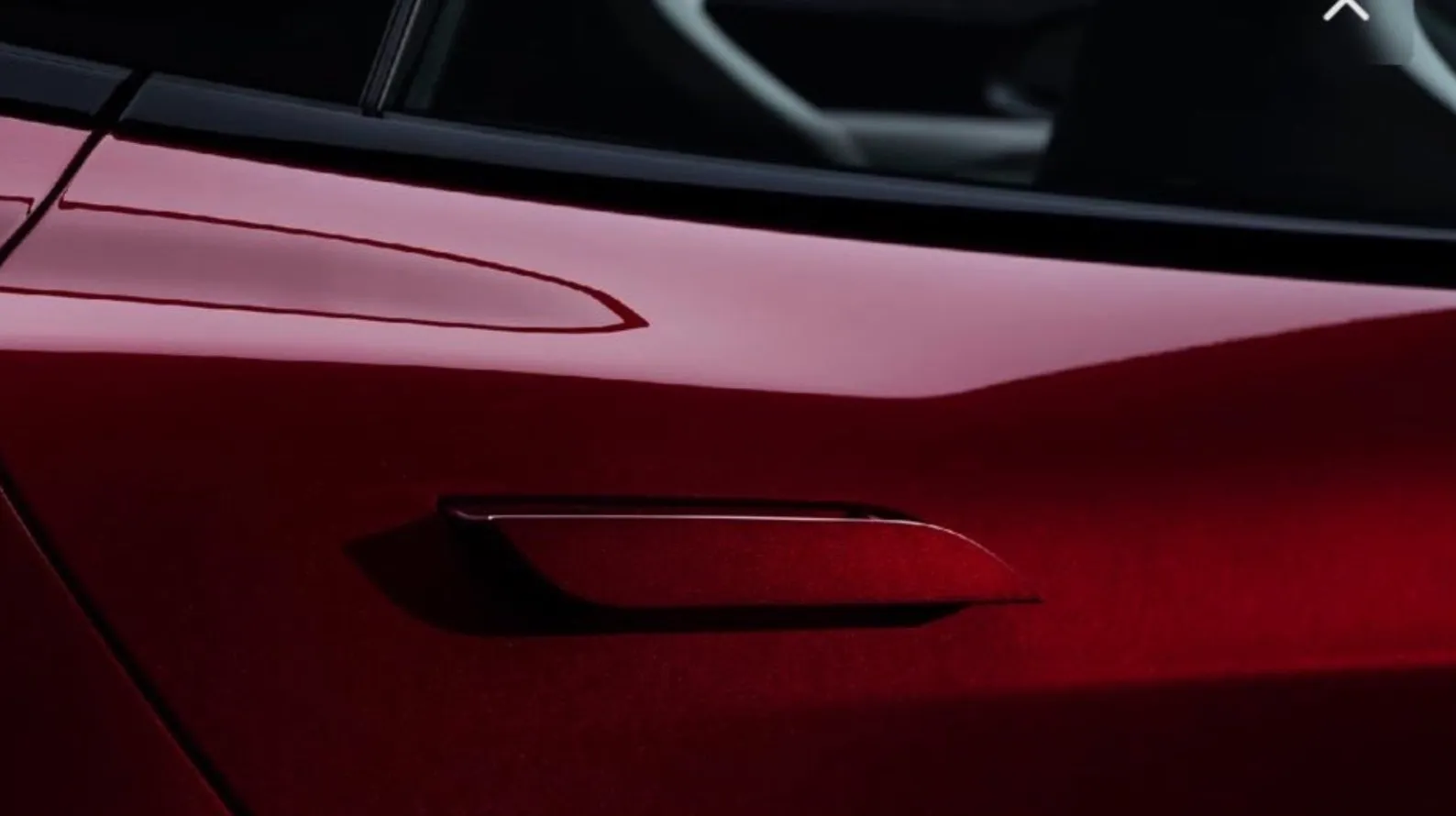 Tesla Model SX Last Run Signature matching door handles.jpg