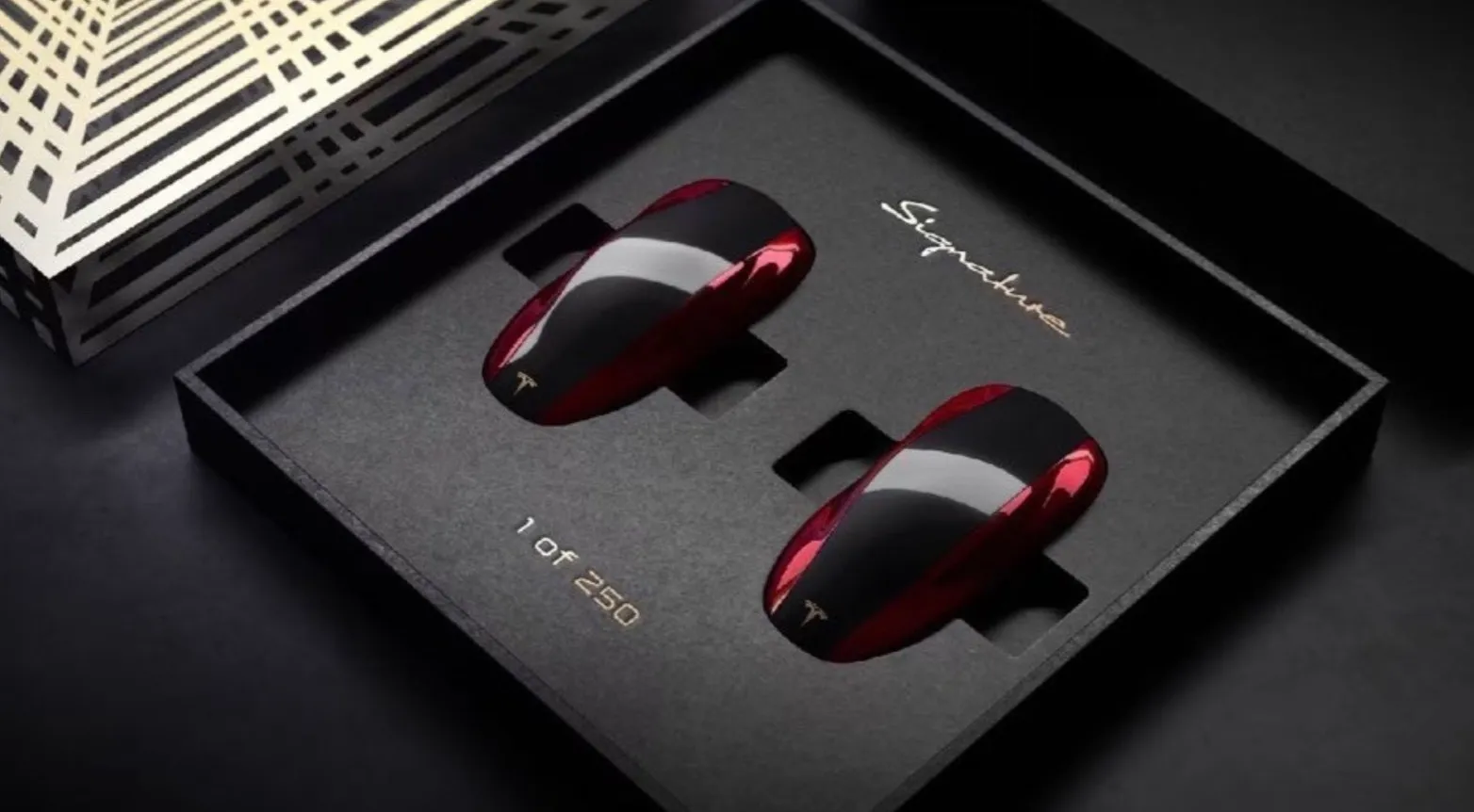 Tesla Model SX Last Run Signature keys.jpg